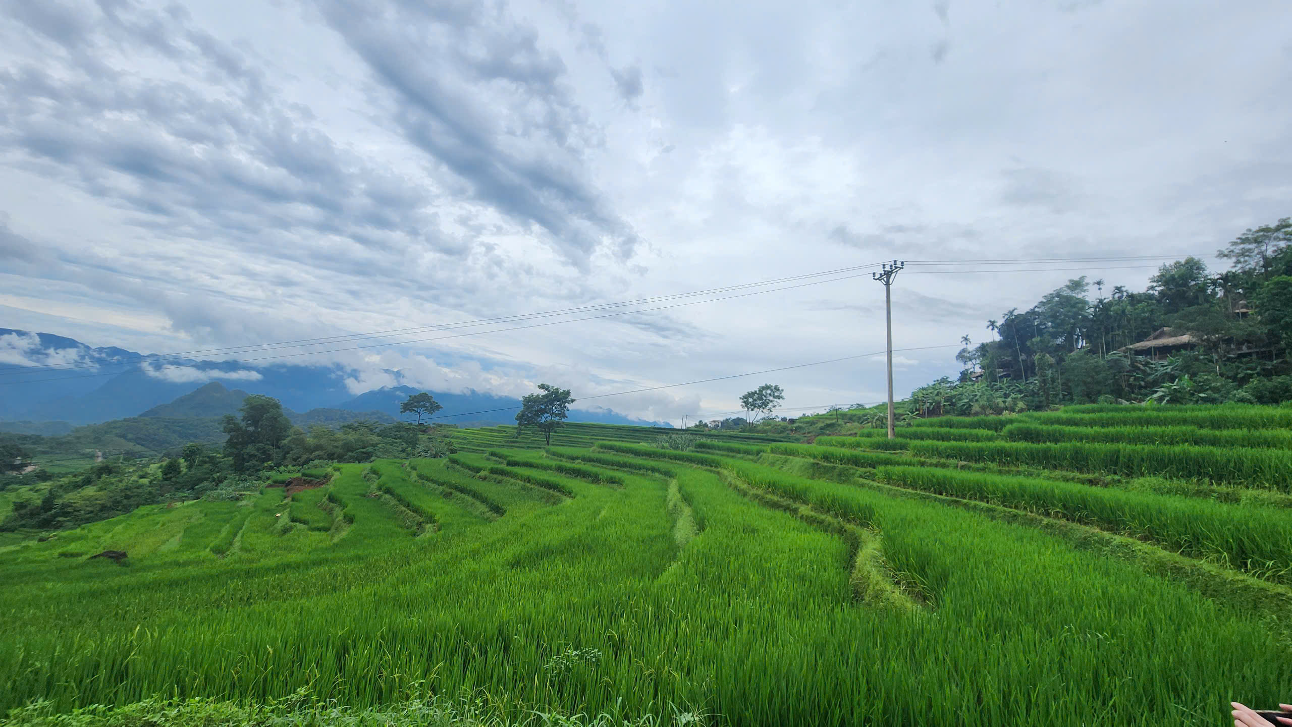 Mai Chau – Pu Luong Nature Reserve 3 days 2 nights